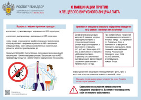 О мерах профилактики клещевого вирусного энцефалита О мерах профилактики клещевого вирусного энцефалита.